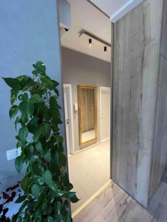 ברטיסלאבה Cozy Apartment מראה חיצוני תמונה